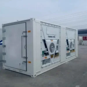 20-voet snelvriescontainer